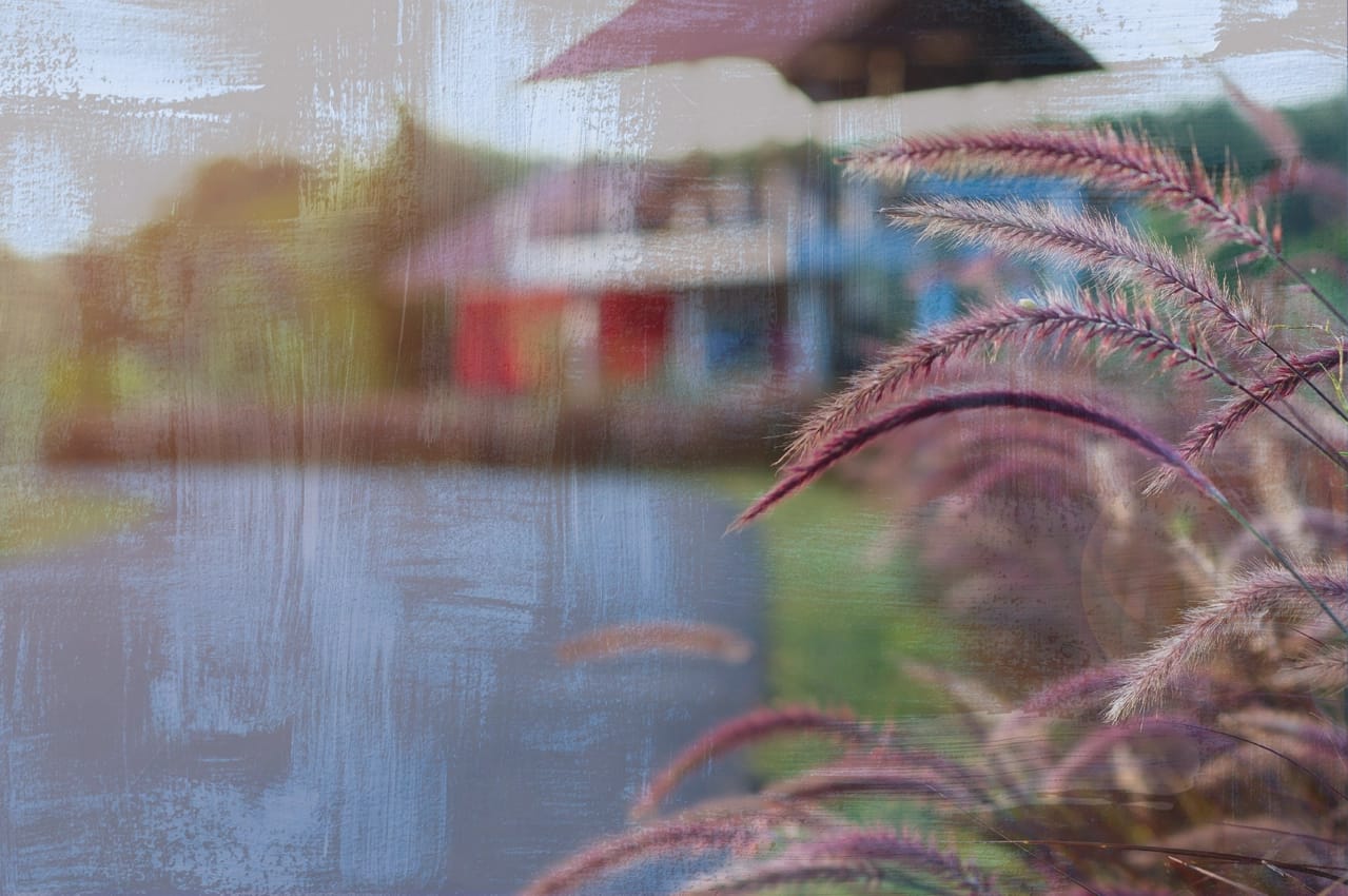 Purple wheat in the foreground with a structure in blurry in the background. Paintbrush strokes cover the entire image.