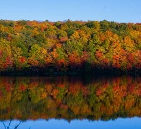 Fall foliage in front of a lake with reflection