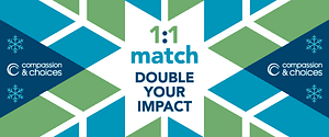 1:1 Match Double Your Impact